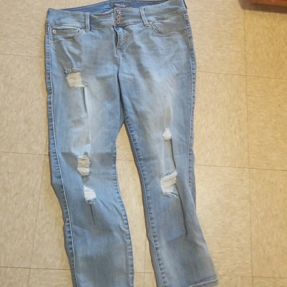 Torrid Premium Jeans
